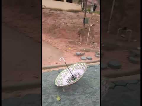 Rua da Paz, em Silveirania