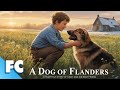 A Dog Of Flanders Full Classic Drama Dog Movie Free HD Animal Movie FC