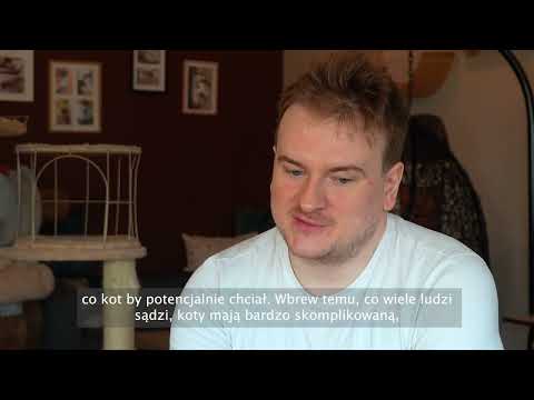 „Biały Kot”, czyli mruczące miejsce w Gdyni