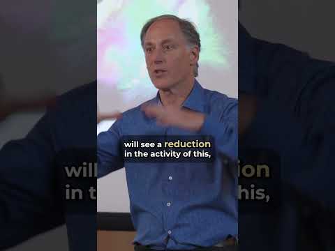 Default Mode Network Activation | Psychedelic Medicine | Dr. Brad Jacobs MD