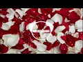 ZieZie Roses Audio