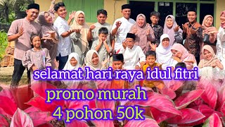 Download lagu Eid al-Fitr promo #ornamental plants. mp3