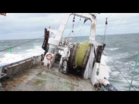 Bianca NC312 Cuxhaven