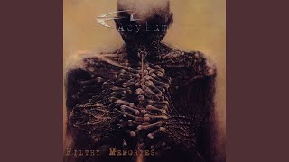 Final Shot (Original Version)