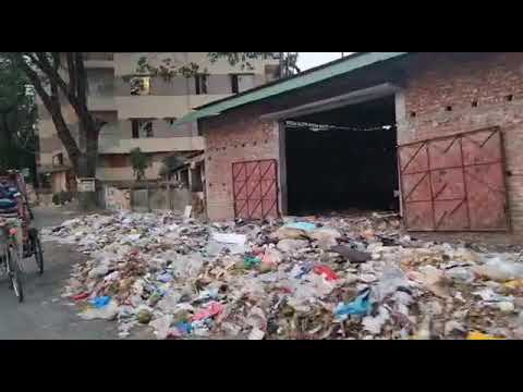 বগুড়ায় সড়কেই ময়লার ভাগাড়! বগুড়ায় সড়কেই ময়লার ভাগাড়!