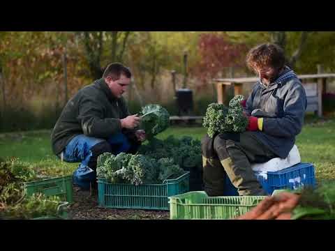 ZE-ZA-HRÁTKY - studentský dokumentární film