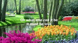It Must Be Love by Don Williams - 1979 (with lyrics)