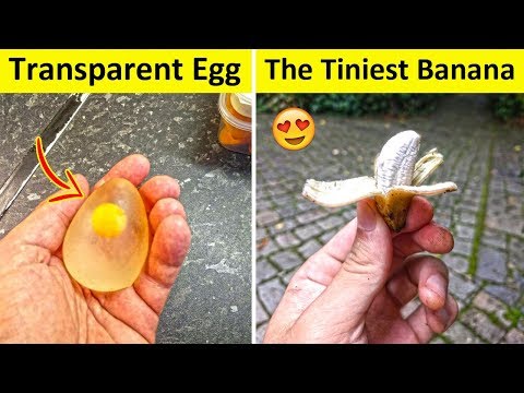 People Who Found The Most Odd-Looking Food Video