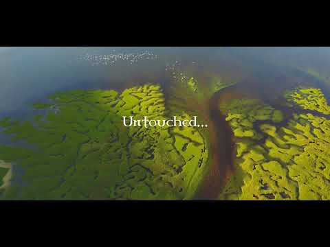 Skye’s the Limit - Trailer