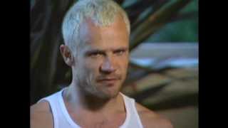 Red Hot Chili Peppers   The Last Gang In Town Part 5 of 8