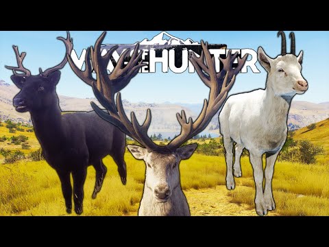 Rare furs and a 5 star on Matariki Park | Way of the Hunter