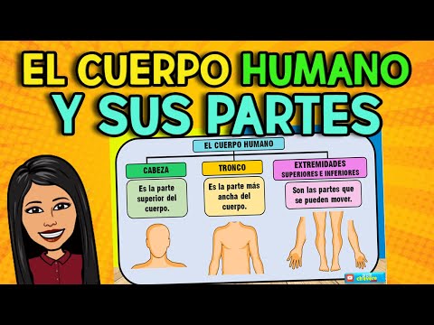 El Cuerpo Humano I CABEZA + TRONCO + EXTREMIDADES