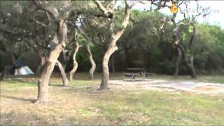 Campsite Scout Video: Lantana Loop, Goose Island State Park, Texas
