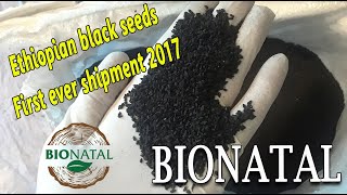 Receiving the Ethiopian black seeds