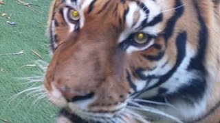 Ooo my...... he almost got me😬😬