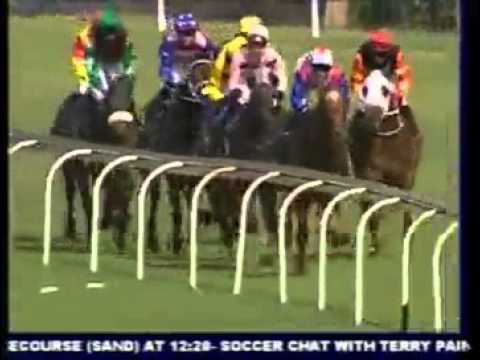 2012-12-23 Turffontein - race 6