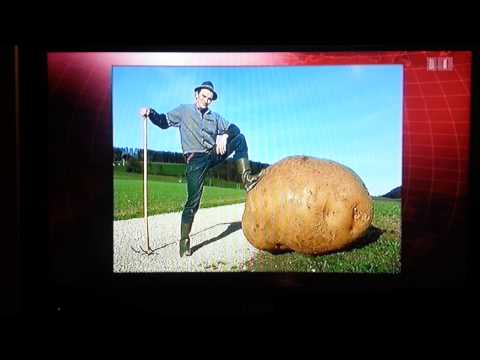 Riesenkartoffel bei Müller&Giacobbo im Zirkus Knie