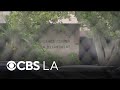 Santa Ana residents frustrated over plans for proposed "re-entry center" for former inmates