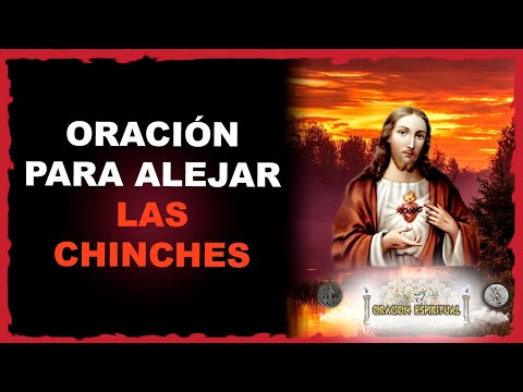 Prayer to KEEP AWAY BEDBUGS | Spiritual Prayer