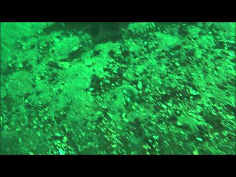 NAUI Open Water Certification Video