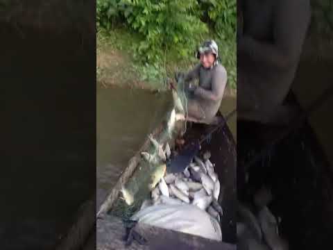 Eu e meu parceiro na pescaria Caracaraí Roraima