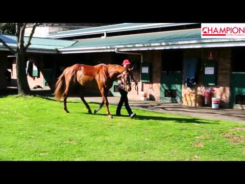 Lightinthenite 2/8/13