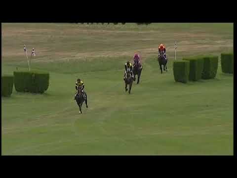 2021.06.27 Grande Steeple Chase di Roma (ITA) - Almost Human