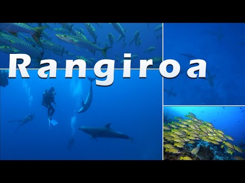 Rangiroa Diving