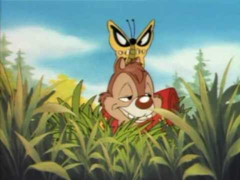 BIS BALD !!! ARD-RATGEBER REISE