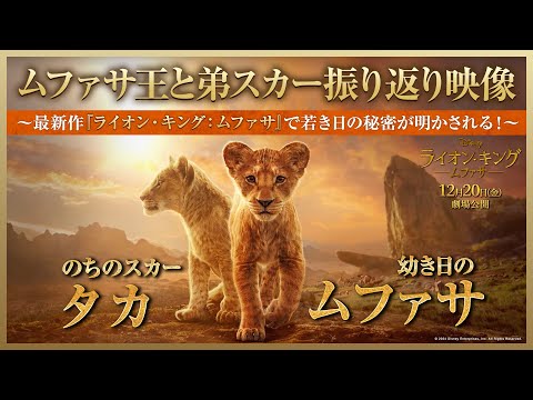 ライオン・キング：ムファサ Video2