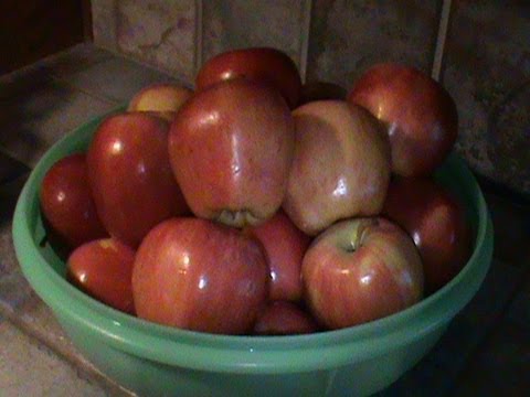 download lagu mp3 mp4 Freeze Apples With Skin, download lagu Freeze Apples With Skin gratis, unduh video klip Freeze Apples With Skin
