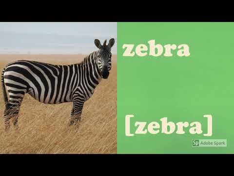 Animals{Adiba and Eliza's video}