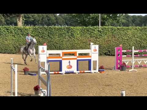 Bulthuis Equestrian offers for sale: Con Coco. Born 2012 by Conthargos X Corofino