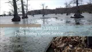 preview picture of video 'Reelfoot Lake Duck Hunting'