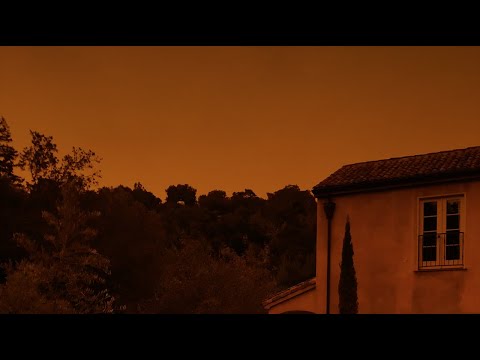 Brett Walter, Founder