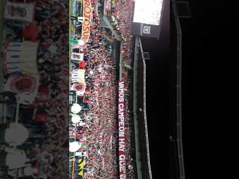 "La hinchada de el América en el campin" Barra: Baron Rojo Sur • Club: América de Cáli • País: Colombia