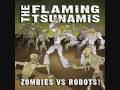 The Flaming Tsunamis - Opus 