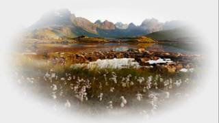 IRMAOS CORAGEM - PAULINHO TAPAJÓS & MARCELO LESSA