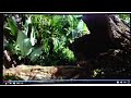 The Great Outdoors Song