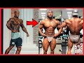 Brandon Hendrickson (Men's Physique Olympia) to CLASSIC Physique! + Flex Lewis Looks Huge + More!