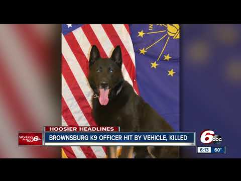 Brownsburg police mourn the loss of K9 officer after he was hit by a car