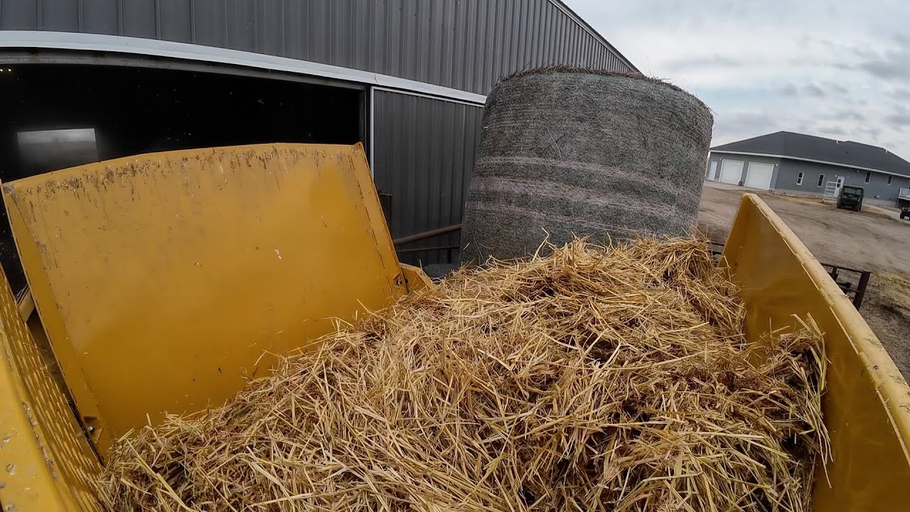 Winter Storm is Coming!