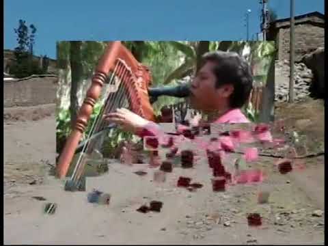 LOS BRILLANTES DE PARINACOCHAS - Paloma blanca pausina