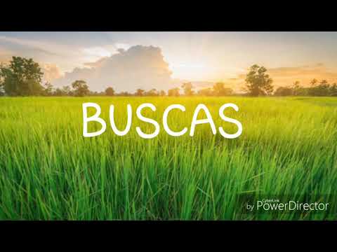 BUSCAS  (coro Adventista)