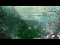 Made In Abyss OST 2 02 The First Layer