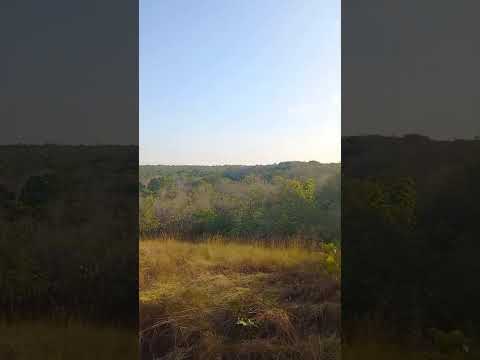 trilha no cerrado sitio Várzea das pedras Rosário oeste MT