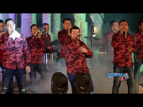 Banda Los Tierra Blanca - Evitame La Pena (En Vivo 2019)