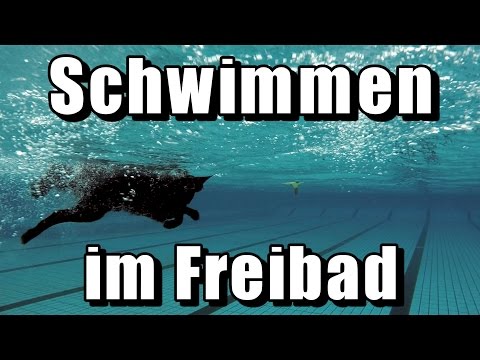 Hundeschwimmen im Freibad | Tony Kliebisch