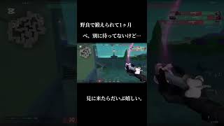 野良の辛さわかるよな？自分の実力もないから盛れないんだ。せめて応援してくれる人がいるだけで、救われる　#valorant #ヴァロラント