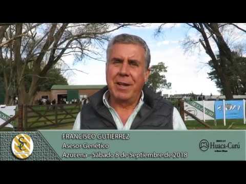 08-09-18 Nota Francisco Gutierrez - Asesor Genetico - Cabaña Huaca Curú - Azucena (Tandil)